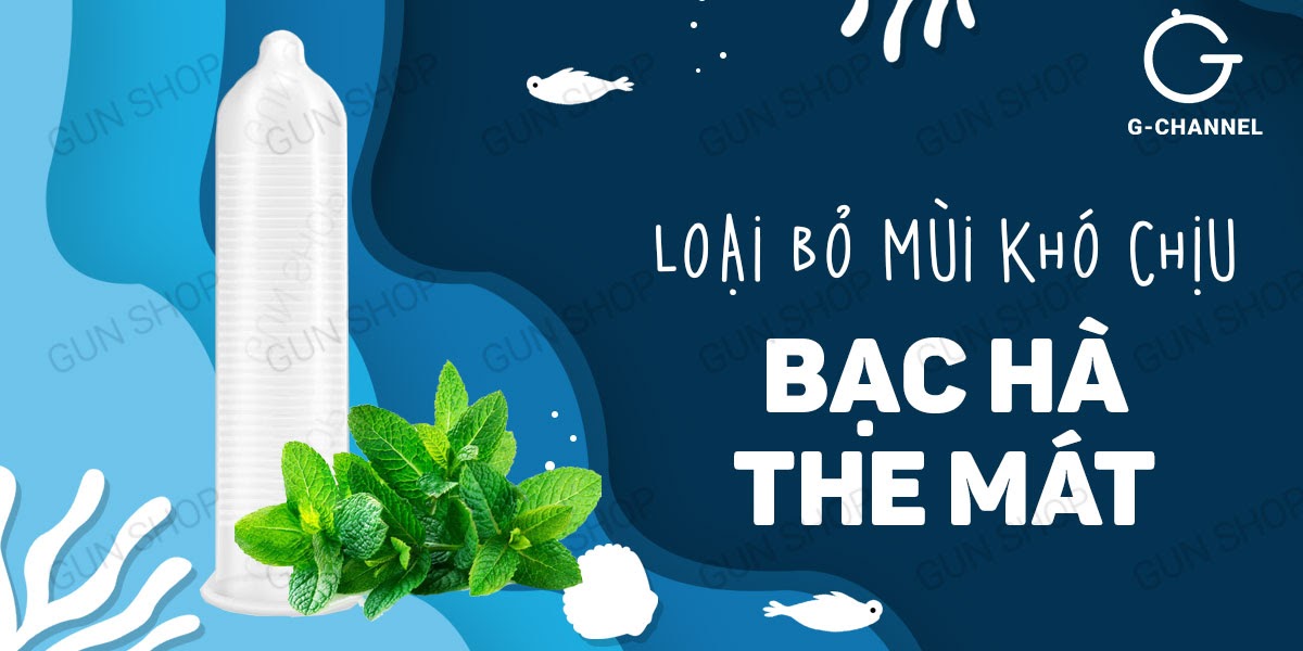 Cung cấp Bao cao su Shell Seahorse - Kéo dài thời gian - Hộp 3 cái giá sỉ Cung cấp Bao cao su Shell Seahorse - Kéo dài thời gian - Hộp 3 cái giá sỉ